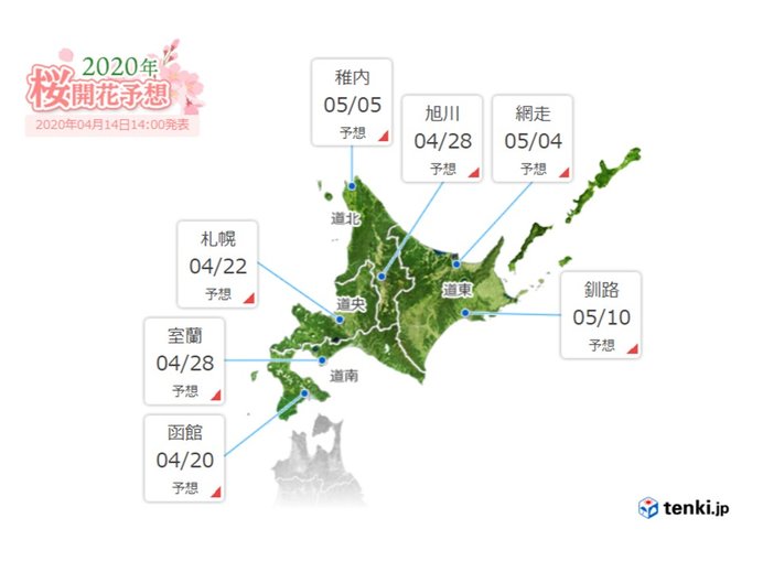 桜前線はいよいよ来週北海道へ