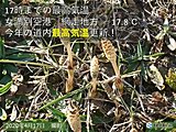 北海道　今年の最高気温を更新する陽気に