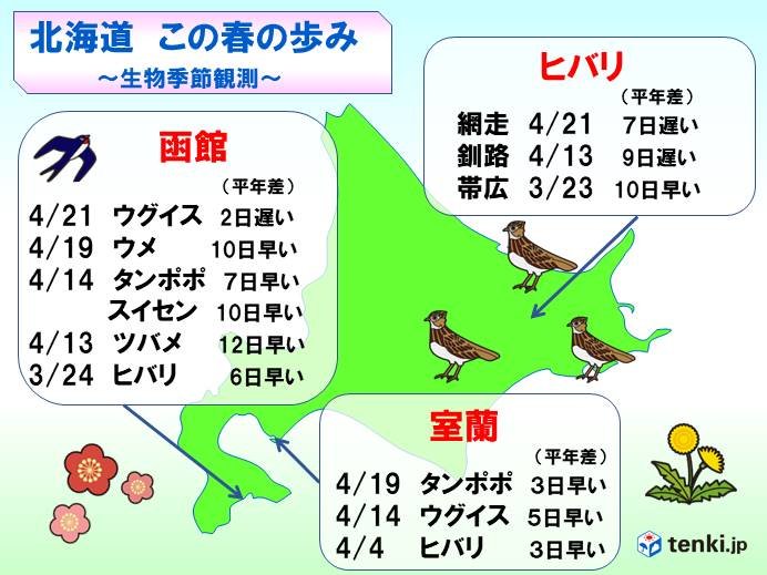 北海道　この春の歩み　生物季節観測