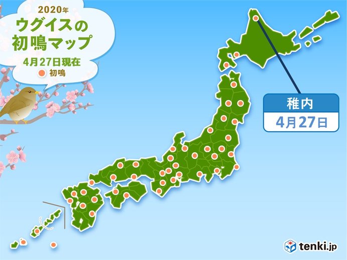 北海道の道北にも春の声　窓を開けて耳を澄ましてみて