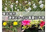 東北地方で真夏日予想 熱中症に注意