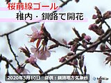 桜前線ゴール!　北海道　稚内と釧路で桜開花