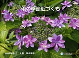 近畿　梅雨の入り口まだ見えず
