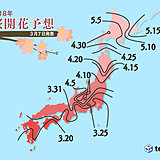 桜の開花予想　早まる　日本気象協会