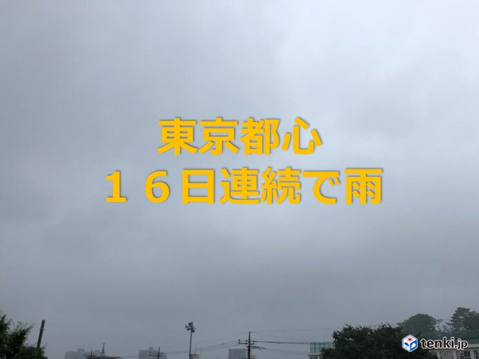 続く梅雨空　東京都心　16日連続で雨　日照時間は平年の半分以下