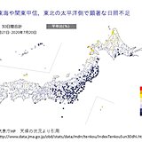 日照時間　平年の3割程度の所も　野菜の生育、価格に影響か