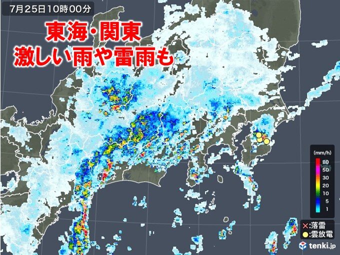 東海や関東に発達した雨雲や雷雲 激しい雨を観測 気象予報士 日直主任 年07月25日 日本気象協会 Tenki Jp