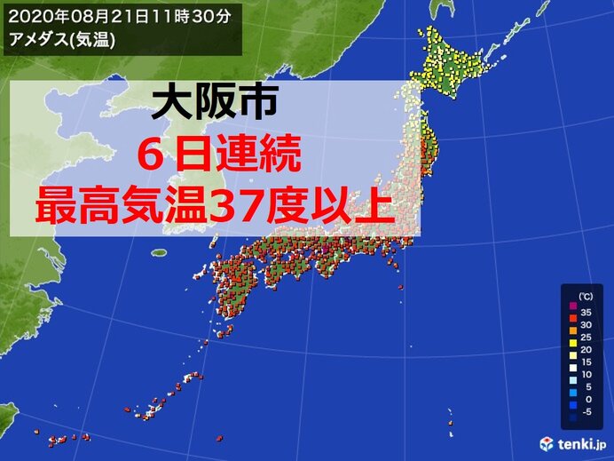 大阪は統計開始以来初「6日連続37度以上」　猛暑日連続地点も続出