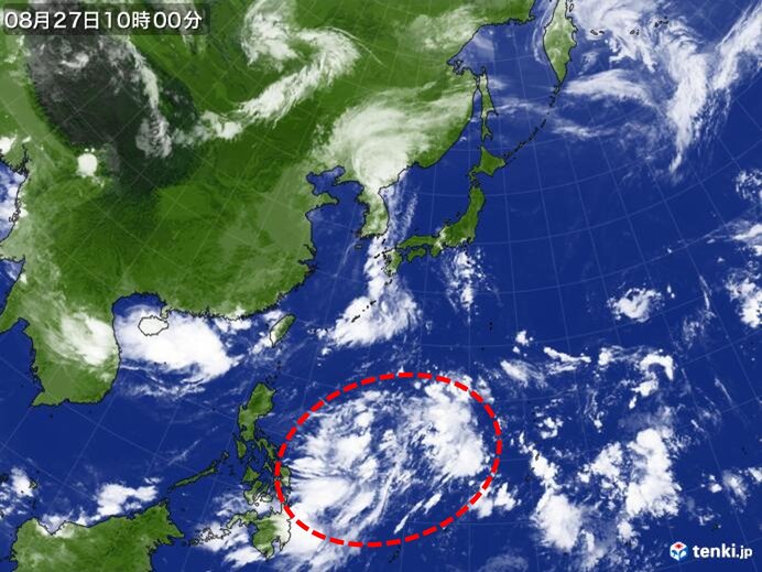 来週は次の台風北上か