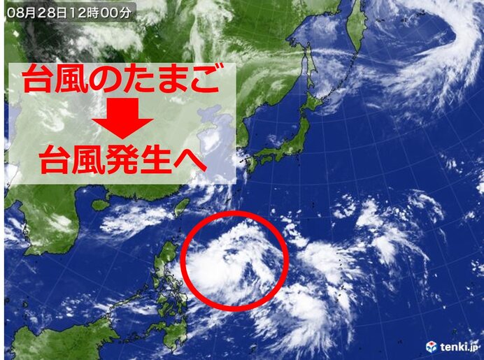 情報 たまご 台風 の 最新