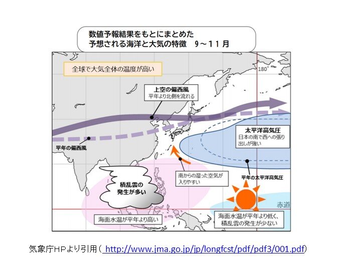 今年の傾向は?