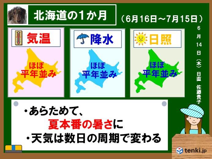 北海道1か月予報　夏が再スタート!