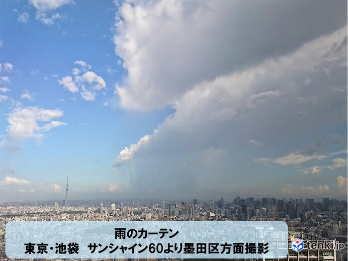 都心に雨雲、カミナリ雲接近中(気象予報士 日直主任 2020年09月03日) - 日本気象協会 tenki.jp