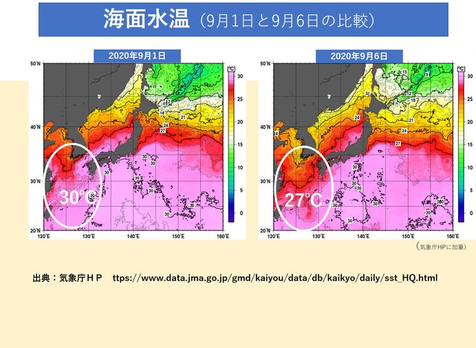 台風10号　特別警報まで発達しなかった理由(海面水温1日と6日比較図)
