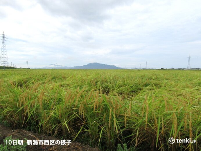 北陸　秋雨の週末　来週はようやく残暑和らぐ
