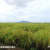 北陸　秋雨の週末　来週はようやく残暑和らぐ