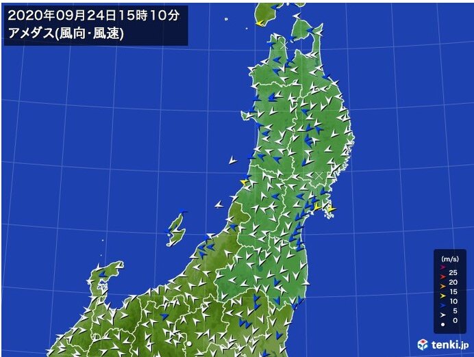 東北 台風12号 太平洋側で雨や風が強まる 日直予報士 年09月24日 日本気象協会 Tenki Jp