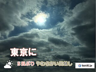 気象予報士 田中 里穂 日直予報士 日本気象協会 Tenki Jp