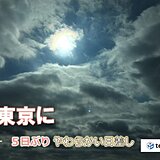 東京都心5日ぶりに太陽が顔をのぞかせる　あすは待望の秋晴れ