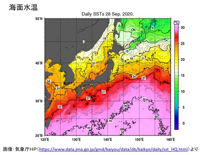 南の海面水温高く