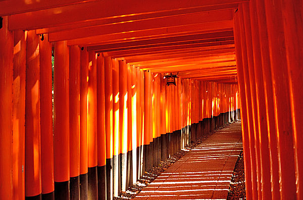 2月6日…２月最初の午(うま)の日は「初午（はつうま）」。稲荷神社の縁日です