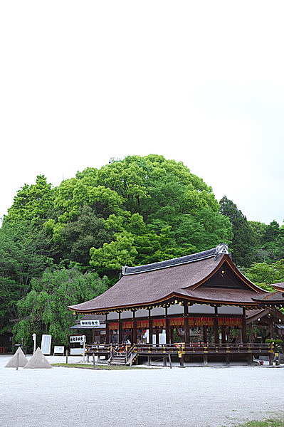 竜神・三本足のカラス八咫烏にドーマンセーマン・・・辻切りはあの伝説の一族の呪術だった?