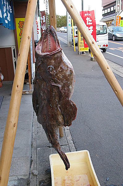 淡白 コラーゲン豊富な旬の あんこう グロテスクでありながら美味の 深海魚の不思議 Tenki Jpサプリ 16年02月日 日本気象協会 Tenki Jp