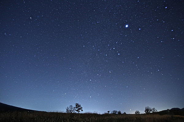 見ると寿命が75日延びる? 北半球のまれ星・カノープス＝布良星を観測できる季節です