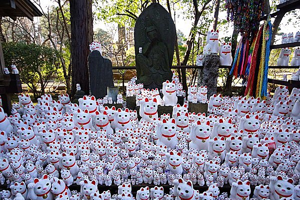 圧巻の豪徳寺猫塚♪ マメ猫からデカ猫まで豊富なサイズ展開です。もちろん絵馬も招き猫！