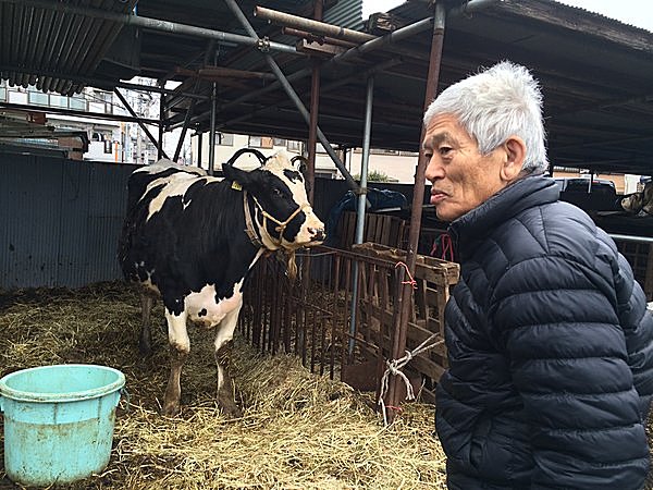 小泉與七さんとお産を控えたお母さんホルスタイン