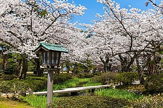桜の名所「兼六園」で花見はいかが！　無料開放＆ライトアップで素敵な思い出を