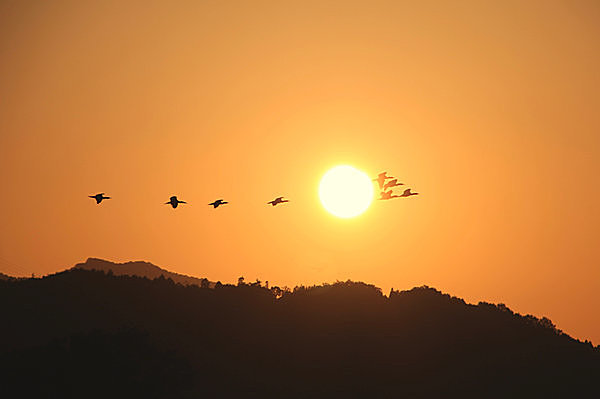 秋の夕暮れは格別。