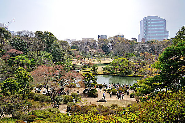 昼の六義園。たっぷりと1時間ぐらいかけて散策したい