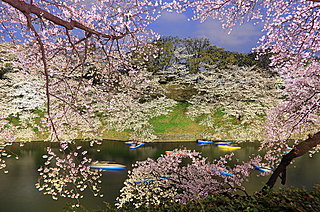 4月の詩歌 ──　心浮き立つ風景の代表花、古代からさまざまに詠われてきた桜