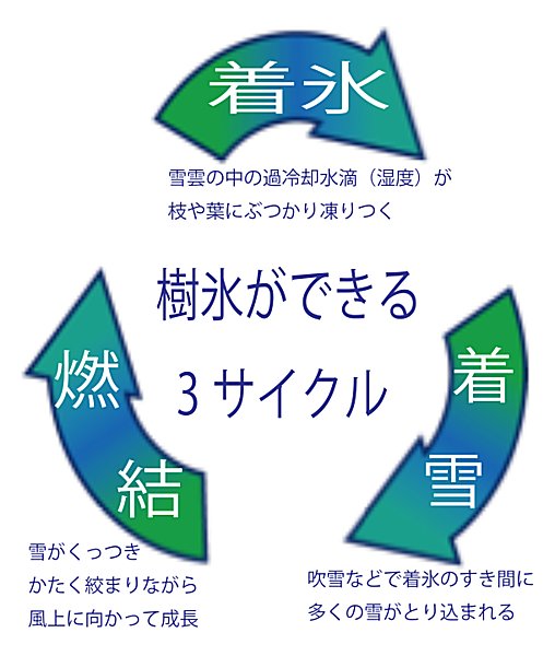 大パノラマに広がる圧倒的迫力の樹氷群