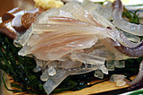 スルメイカ漁解禁!! 函館でコリコリのイカ刺しを食べよう!! 幻想的な漁り火も見ごたえあり！
