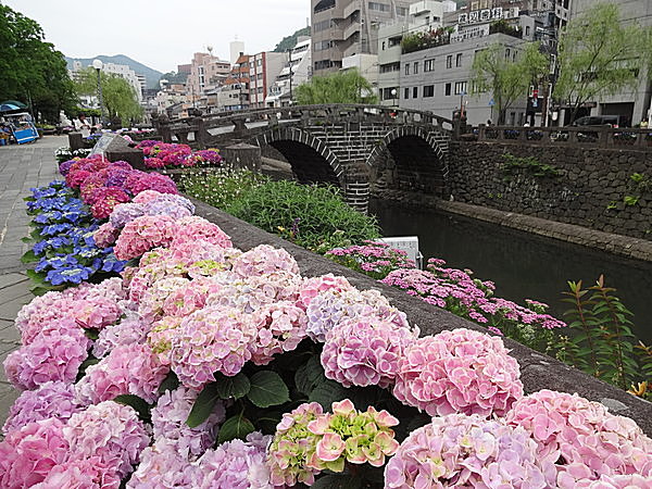 長崎市民に愛される紫陽花 シーボルトの恋に思いを馳せて Tenki Jpサプリ 16年06月10日 日本気象協会 Tenki Jp