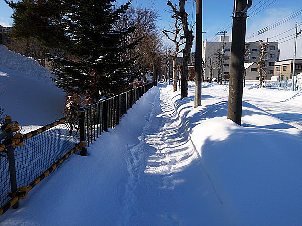 歩行者にとって危険な雪道、一番危ないのは横断歩道のアレ…