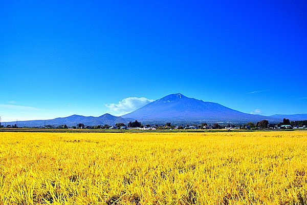 秋の岩手山