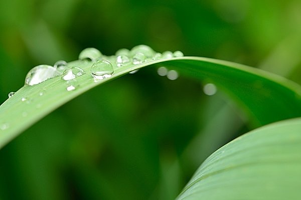 今日は土に触れてはいけない!? 収穫を産土(うぶすな)の神に感謝する秋の社日(しゃにち)