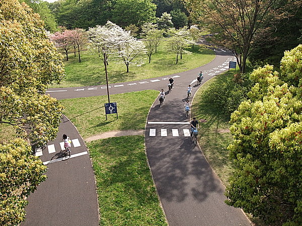 開放的な国営昭和記念公園のサイクリングコース