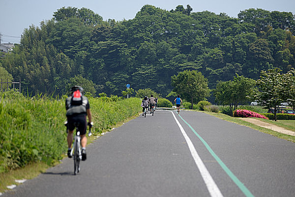 手賀沼のサイクリングコース。美しい白鳥の姿を鑑賞できるかも！