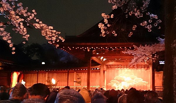 東京都心の桜開花を告げる標本木がある「靖國神社」。「奉納　夜桜能」は春を寿ぐ風物詩