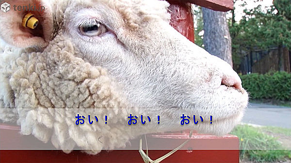 お天気先生～雨にぬれずに旅をする～＃３