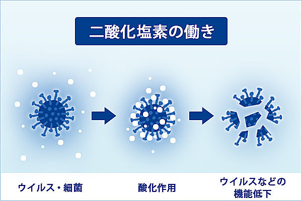 今シーズンの風邪ひき前線発表！～風邪予防には「ウイルス対策」を忘れずに～_画像