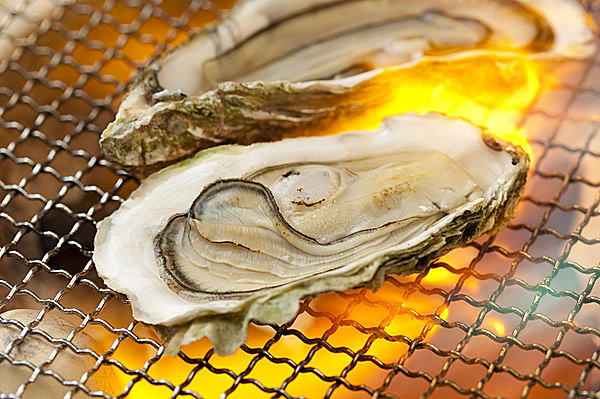 23日は「牡蠣(カキ)の日」。栄養満点の牡蠣を食べましょう