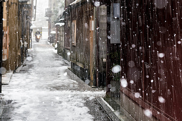 初雪 初雪」「平年」の定義とは？ 東京都心で初雪、平年より9日遅い ...