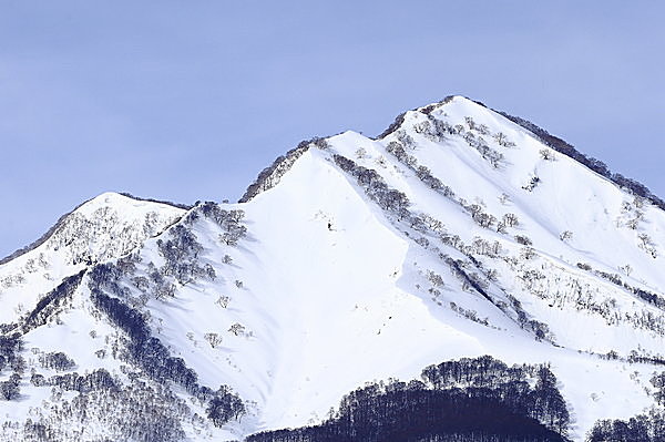 パウダースノーが魅力の火打ち山