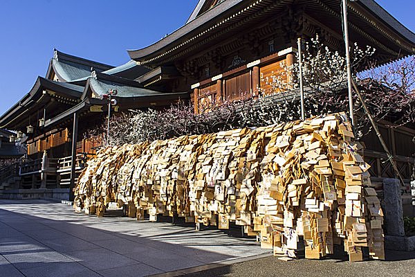 資格検定や就活も。あらゆる試験への願いが鈴なりに