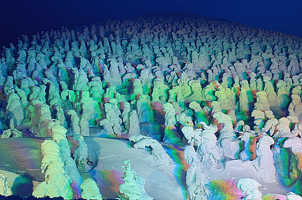 今日から52日限定！　スノーモンスター「樹氷」が幻想的にライトアップ！
